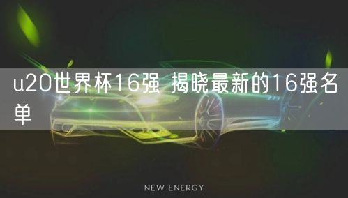 u20世界杯16强 揭晓最新的16强名单