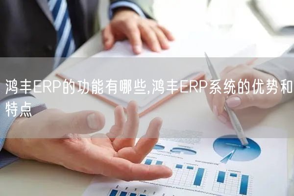 鸿丰ERP的功能有哪些,鸿丰ERP系统的优势和特点