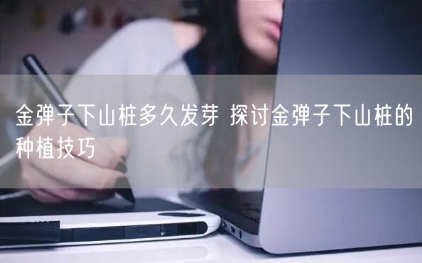 金弹子下山桩多久发芽 探讨金弹子下山桩的种植技巧