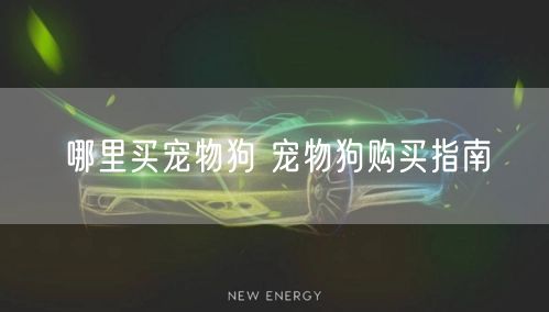 哪里买宠物狗 宠物狗购买指南