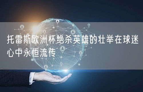 托雷斯欧洲杯绝杀英雄的壮举在球迷心中永恒流传