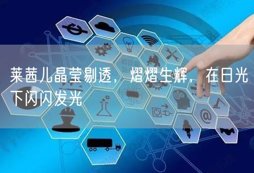 莱茜儿晶莹剔透，熠熠生辉，在日光下闪闪发光