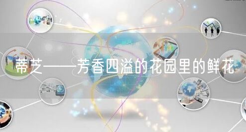 蒂芝——芳香四溢的花园里的鲜花