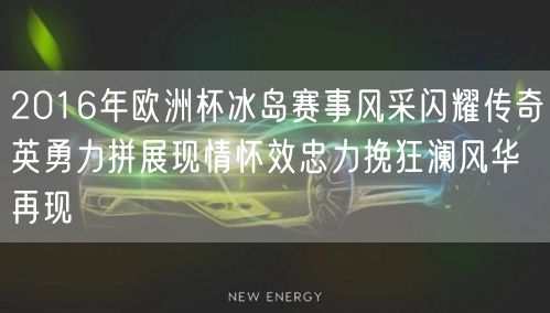 2016年欧洲杯冰岛赛事风采闪耀传奇英勇力拼展现情怀效忠力挽狂澜风华再现