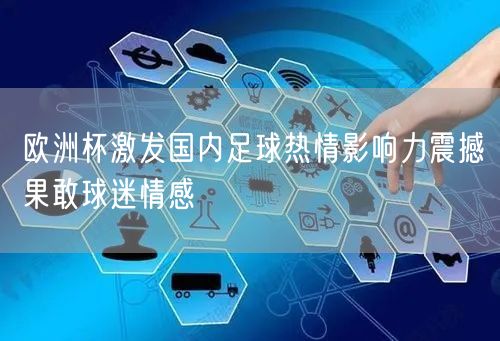 欧洲杯激发国内足球热情影响力震撼果敢球迷情感