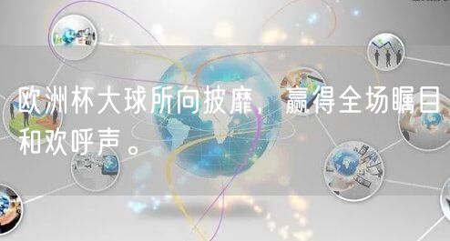 欧洲杯大球所向披靡，赢得全场瞩目和欢呼声。