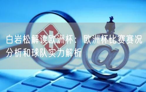 白岩松解读欧洲杯：欧洲杯比赛赛况分析和球队实力解析