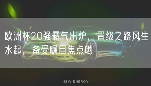 欧洲杯20强霸气出炉，晋级之路风生水起，备受瞩目焦点哟