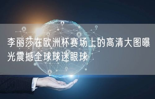 李丽莎在欧洲杯赛场上的高清大图曝光震撼全球球迷眼球