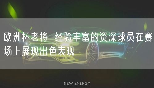 欧洲杯老将-经验丰富的资深球员在赛场上展现出色表现