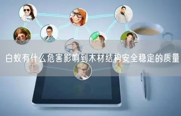 白蚁有什么危害影响到木材结构安全稳定的质量