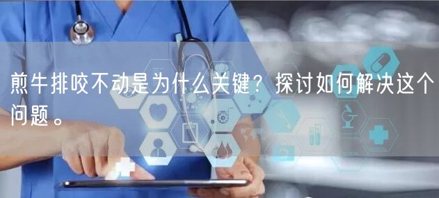 煎牛排咬不动是为什么关键？探讨如何解决这个问题。