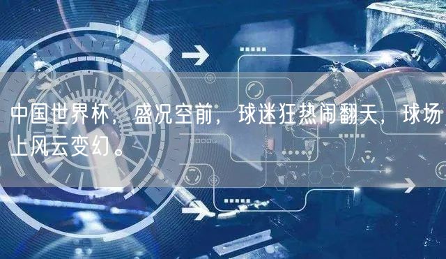 中国世界杯，盛况空前，球迷狂热闹翻天，球场上风云变幻。