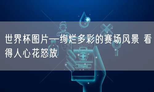 世界杯图片—绚烂多彩的赛场风景 看得人心花怒放