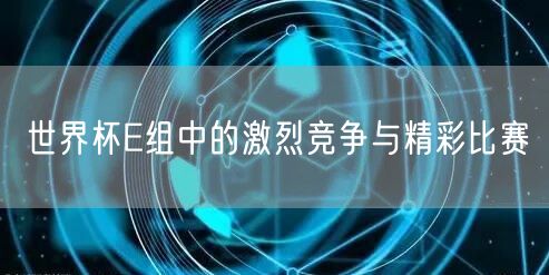 世界杯E组中的激烈竞争与精彩比赛