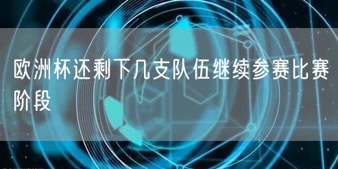 欧洲杯还剩下几支队伍继续参赛比赛阶段