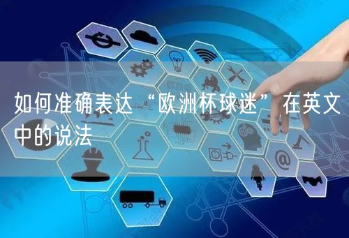 如何准确表达“欧洲杯球迷”在英文中的说法