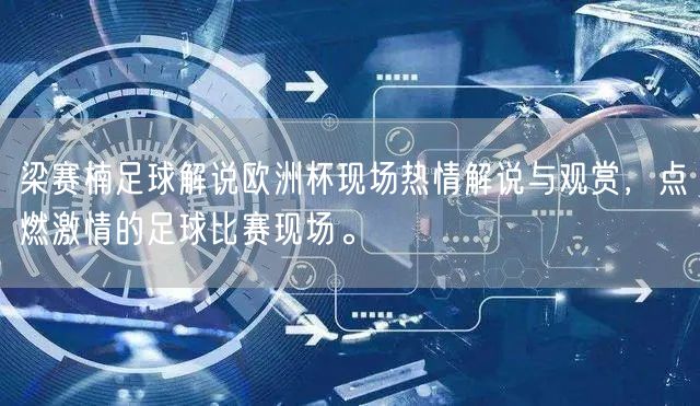 梁赛楠足球解说欧洲杯现场热情解说与观赏，点燃激情的足球比赛现场。