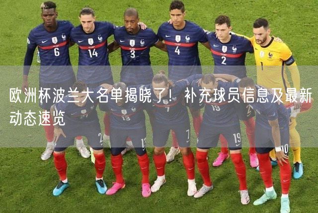欧洲杯波兰大名单揭晓了！补充球员信息及最新动态速览