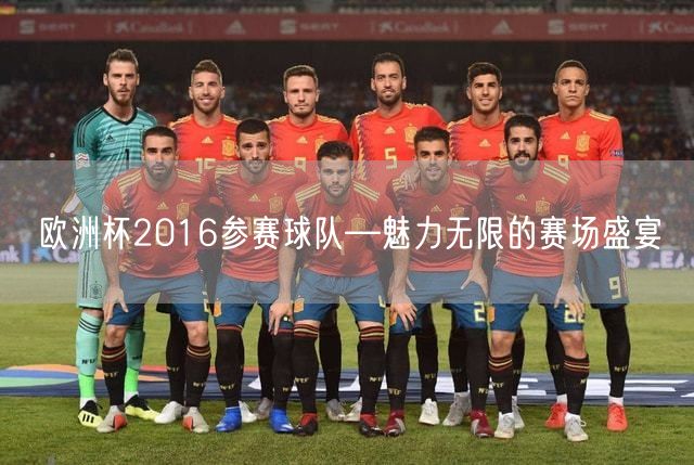 欧洲杯2016参赛球队—魅力无限的赛场盛宴