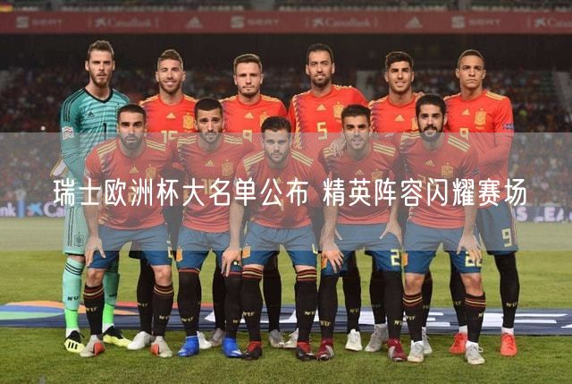 瑞士欧洲杯大名单公布 精英阵容闪耀赛场