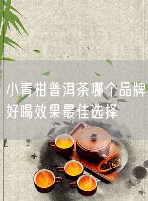 小青柑普洱茶哪个品牌好喝效果最佳选择
