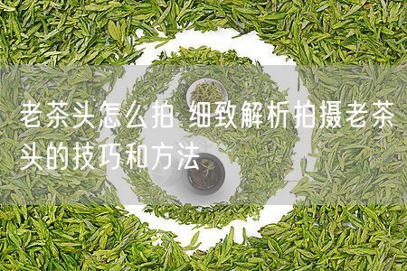 老茶头怎么拍 细致解析拍摄老茶头的技巧和方法