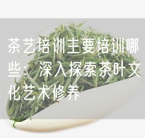 茶艺培训主要培训哪些：深入探索茶叶文化艺术修养