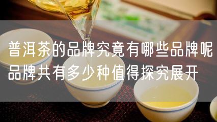 普洱茶的品牌究竟有哪些品牌呢品牌共有多少种值得探究展开