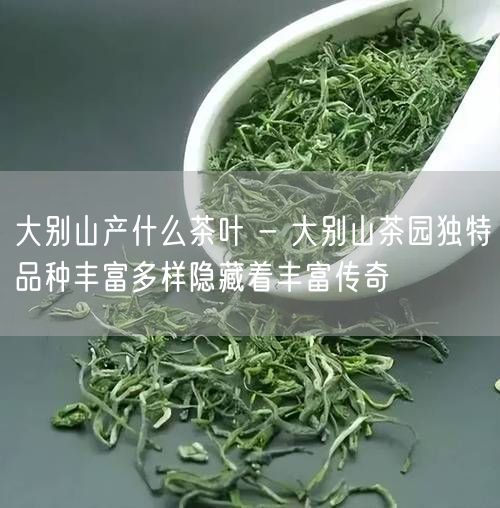 大别山产什么茶叶 - 大别山茶园独特品种丰富多样隐藏着丰富传奇
