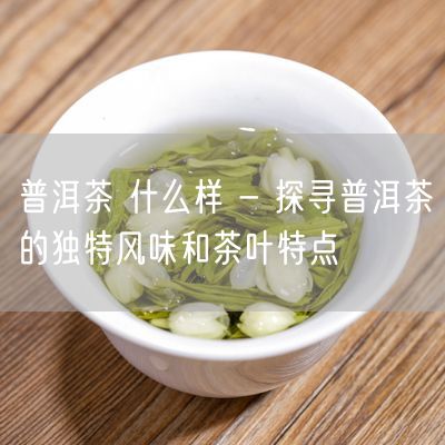 普洱茶 什么样 - 探寻普洱茶的独特风味和茶叶特点