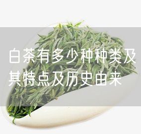 白茶有多少种种类及其特点及历史由来