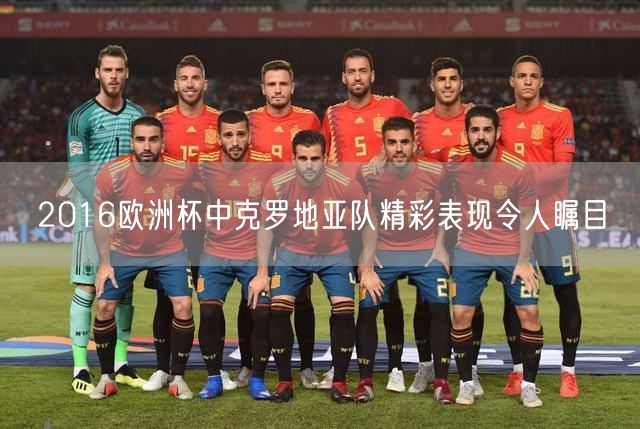 2016欧洲杯中克罗地亚队精彩表现令人瞩目