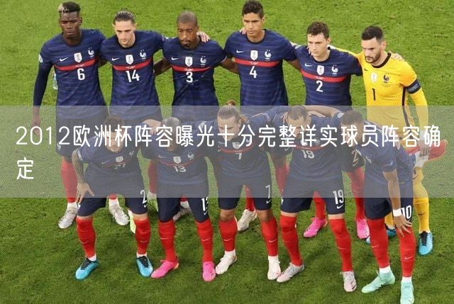 2012欧洲杯阵容曝光十分完整详实球员阵容确定