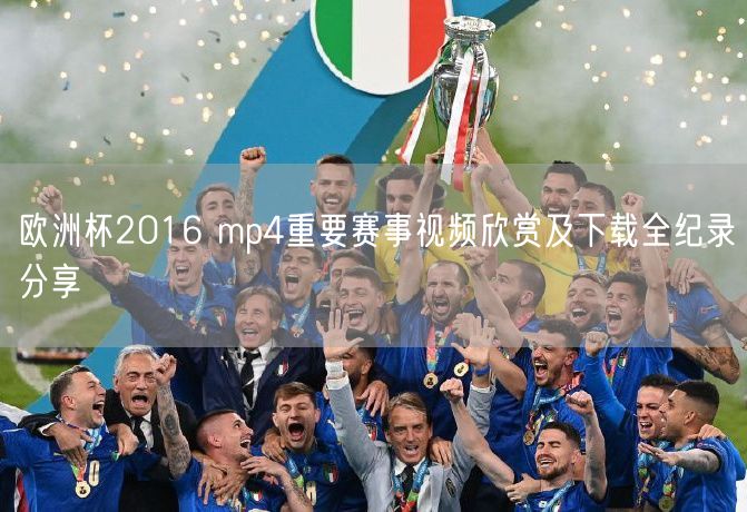 欧洲杯2016 mp4重要赛事视频欣赏及下载全纪录分享