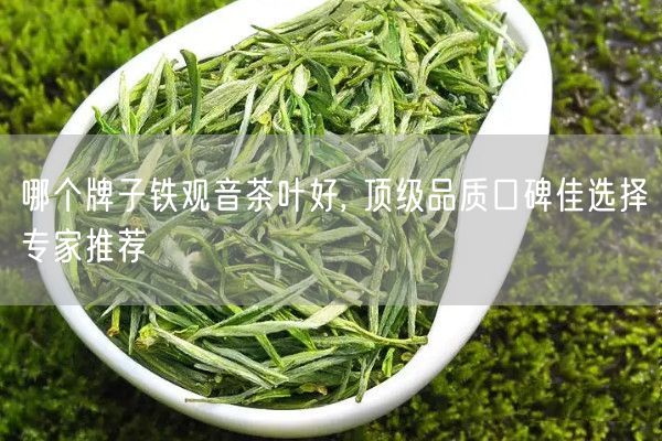 哪个牌子铁观音茶叶好, 顶级品质口碑佳选择专家推荐