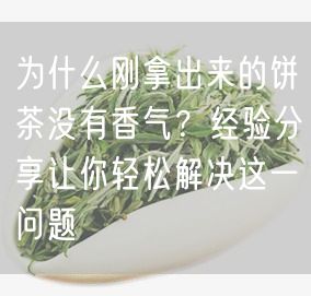 为什么刚拿出来的饼茶没有香气？经验分享让你轻松解决这一问题