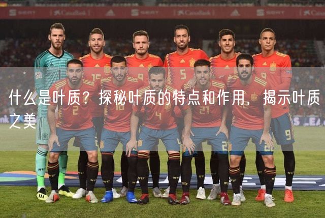 什么是叶质？探秘叶质的特点和作用，揭示叶质之美