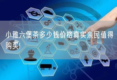 小雅六堡茶多少钱价格真实亲民值得购买!