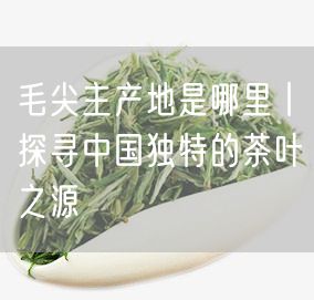 毛尖主产地是哪里丨探寻中国独特的茶叶之源