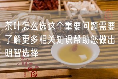 茶叶怎么选这个重要问题需要了解更多相关知识帮助您做出明智选择