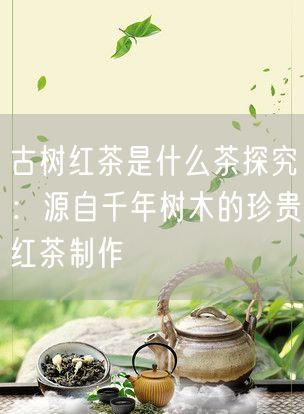 古树红茶是什么茶探究：源自千年树木的珍贵红茶制作