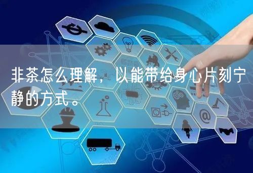 非茶怎么理解，以能带给身心片刻宁静的方式。