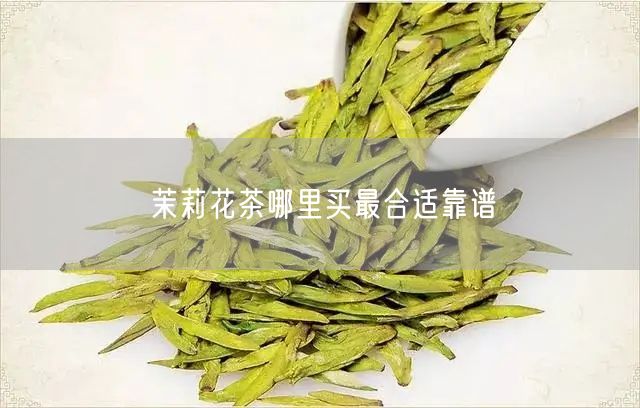 茉莉花茶哪里买最合适靠谱