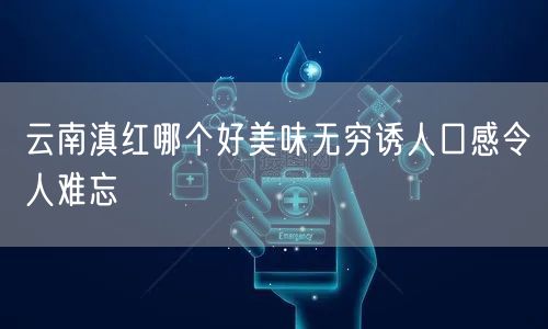 云南滇红哪个好美味无穷诱人口感令人难忘