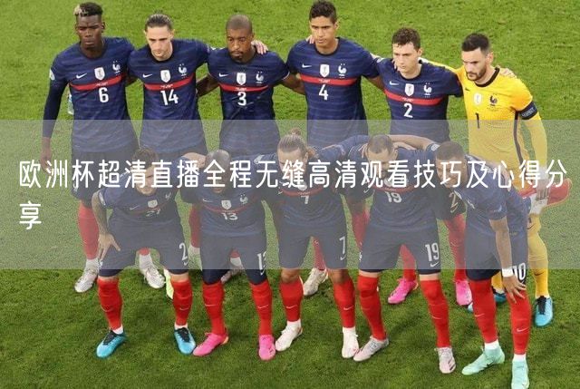 欧洲杯超清直播全程无缝高清观看技巧及心得分享
