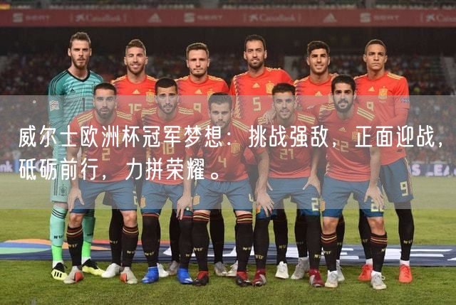 威尔士欧洲杯冠军梦想：挑战强敌，正面迎战，砥砺前行，力拼荣耀。