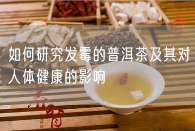 如何研究发霉的普洱茶及其对人体健康的影响