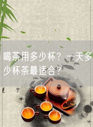 喝茶用多少杯？一天多少杯茶最适合？