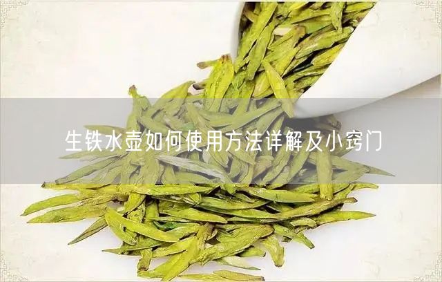 生铁水壶如何使用方法详解及小窍门